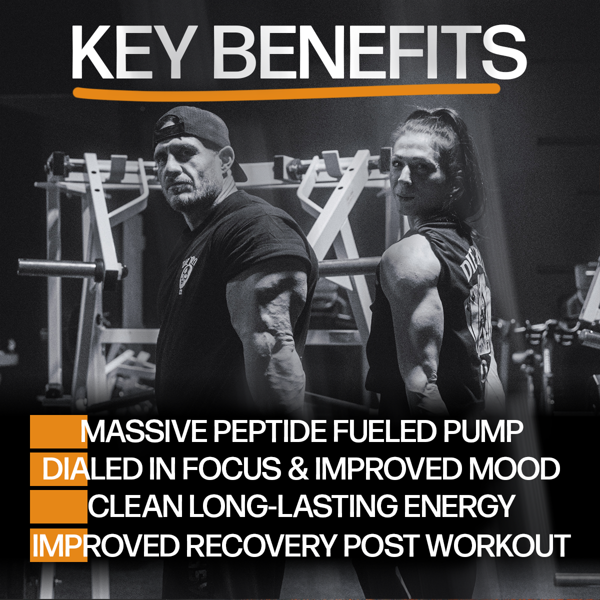 SEND IT 3.0 (ULTIMATE DAILY DRIVE PRE)